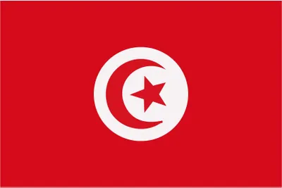Produktbild von Tunesien-Flagge rot-weiss 90x150cm - Einheitsgröße