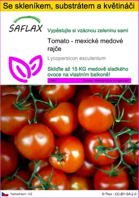 Obrázek produktu pro SAFLAX Kultivační sada - Tomato - mexické medové rajče - Lycopersicon esculentum - 10 Semena - S mini skleníkem, pěstebním substrátem a 2 květináči