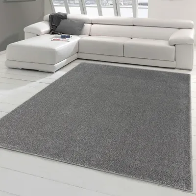 Produktbild von Klassischer Wohnzimmerteppich im Unidesign in grau Größe - 160 x 230 cm