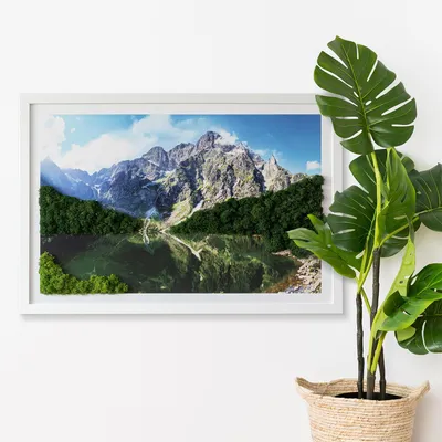 Produktbild von Moosbild mit Echtem Isländisch Moos - 60x40 cm - Weißer MDF-Rahmen - Tatra-Gebirge - Morskie Oko