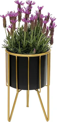 Image de Tabouret à fleurs moderne avec pot en métal Noir Or 31,5 cm - support pour fleurs et plantes