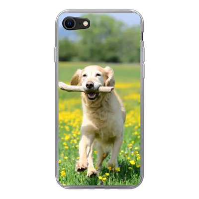 Produktbild von MuchoWow® Handyhülle Schutzhülle Hülle für iPhone 8 Golden Retriever mit einem Zweig im Maul zwischen gelben Blumen Silikon Softcase Handy Hülle - Schutzhaube