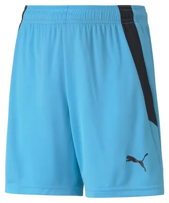 Obrázek produktu pro Puma Kalhoty Teamliga, 70493140, Größe: 128
