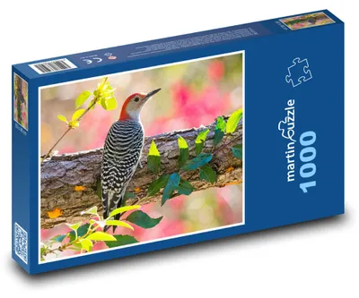 Zdjęcie produktu dla martinpuzzle - Puzzle 1000 elementów - Datel rdzawobrzuchy