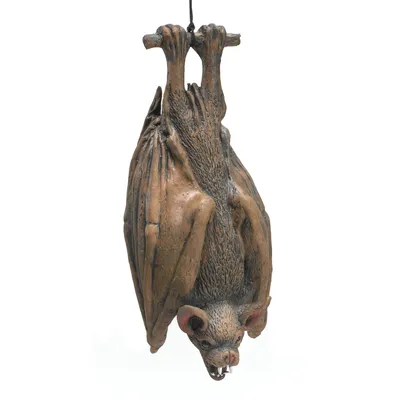 Immagine prodotto di Bristol Novelty decorazione pipistrello, appeso BN1593 (taglia unica) (marrone)