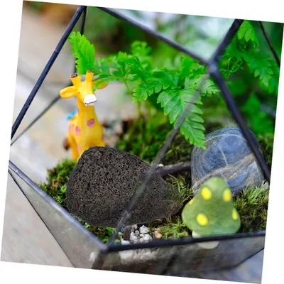Zdjęcie produktu dla Czarny lawostein, porowaty, 150 g (2-4 cm), do akwarium i dekoracji ogrodu