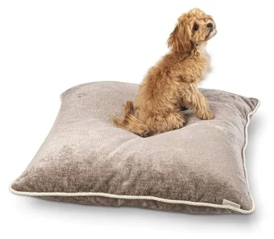 Obrázok produktu pre Ležadlo pre domáce zvieratá Carinio Queen Taupe