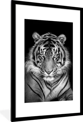 Produktbild von MuchoWow® MuchoWow® Gerahmtes Poster Tiger - Raubtier - Schwarz - Weiß 60x90 cm - Poster mit zchwarzem Bilderrahmen - Dekoration - Wandposter Wohnzimmer - Hochwertig