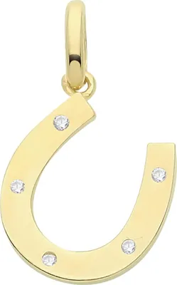 Produktbild von 9 Karat (375) Gold Damen - Anhänger mit Zirkonia - 16mm*10mm; TRS34435