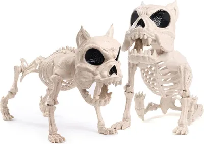 Produktbild von JOYIN Halloween Hund Skelett Dekorationen 40,6 cm 2 Stück