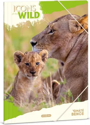 Obrázek produktu pro Ars Una Složka na sešity A4 Icons of the Wild - Lions