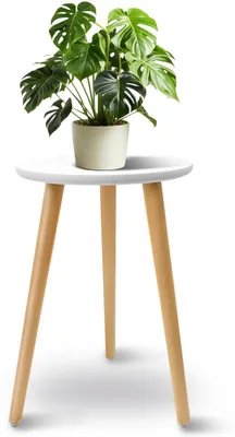 Image de Support pour plantes d'intérieur - Étagère en bois pour plantes, idéale pour le salon et le balcon (blanc)