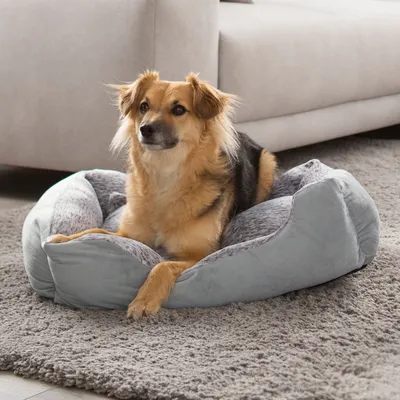 Obrázek produktu pro Petstuff Pelíšek pro psa, velikost M, 65 x 48 x 19 cm, šedý