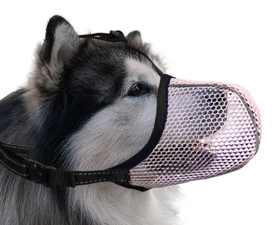 Produktbild von Hundemaulkorb für extra große Hunde, atmungsaktives Material, verstellbar, für Spaziergänge