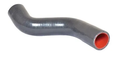 Image de BUGIAD Tuyau d'air de suralimentation