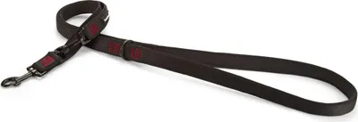 Image de Beeztees Parinca Premium - laisse pour chien - nylon - noir - 200 cm x x