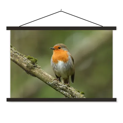 Produktbild von MuchoWow® Textilposter Vogel - Rotkehlchen - Zweig - Pflanzen 150x100 cm mit schwarzem Rahmen - Schlafzimmer