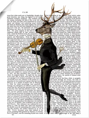 Produktbild von Fab Funky: Tanzender Hirsch mit Violine, Produkt:Poster, Größe (HxB):80x60 cm / Poster
