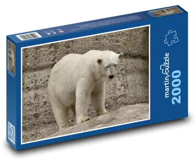 Produktbild von Puzzle 2000 Eisbär in der Wildnis - martinpuzzle