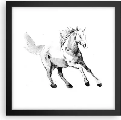 Produktbild von Gerahmtes Poster - Schwarzer Rahmen - Pferd Galopp Tier - 30x30 cm - Wand Bild - Wanddeko - Wandbilder - Kunstposter - Wandposter - Bilderrahmen - Bilder - Kunstdruck - P2BAC30x30-5117