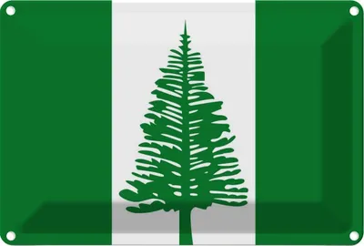 Produktbild von vianmo Blechschild 12x18 cm Norfolkinsel Norfolk Island Flagge Fahne Wappen