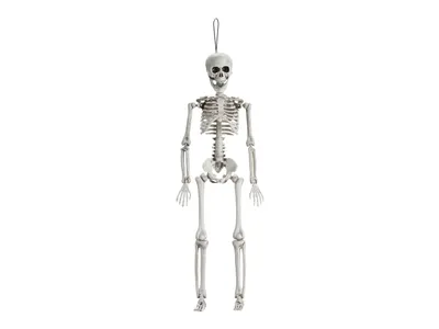 Produktbild von Deko Skelett 40cm Kunststoff Weiß