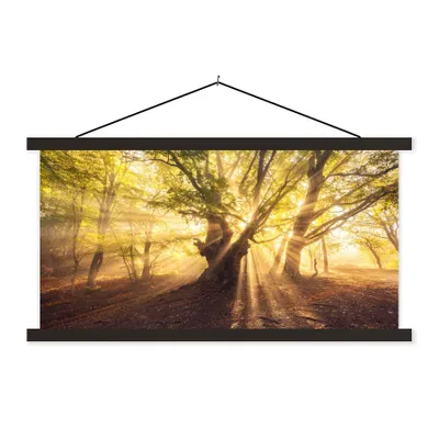 Produktbild von MuchoWow® Textilposter Baum - Wald - Sonne 150x75 cm mit schwarzem Rahmen - Posterleiste