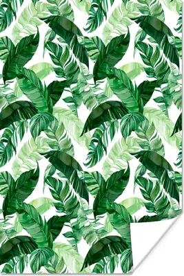 Produktbild von MuchoWow® Poster Blätter - Grün - Muster 80x120 cm - Papierdruck
