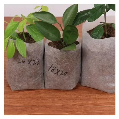 Image de Sacs biodégradables pour plantes