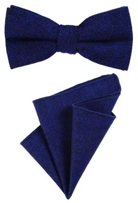 Produktbild von DonDon Herren Fliege 12 x 6 cm gebunden längenverstellbar und Einstecktuch 23 x 23 cm farblich passend aus Baumwolle blau