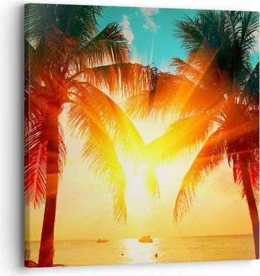 Produktbild von Bild auf Leinwand - Leinwandbild - Meer Palme Wasser - 30x30cm - Wand Bild - Wanddeko - Wandbilder - Leinwanddruck - Bilder - Kunstdruck - Wanddekoration - Leinwand bilder - Wandkunst - AC30x30-4018
