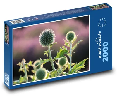 Zdjęcie produktu dla Puzzle 2000 Kwitnący oset na łące - martinpuzzle