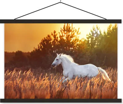 Produktbild von MuchoWow® Textilposter Pferd - Gras - Baum - Sonne 90x60 cm mit schwarzem Rahmen - Aufhängungssatz