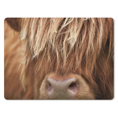 Produktbild von MuchoWow® Mauspad Mousepad Schottischer Highlander - Nase - Haare 23x19 cm - Mousepads - Maus Mat - Pad - Mausunterlage - Schreibtischunterlage - Mauspad