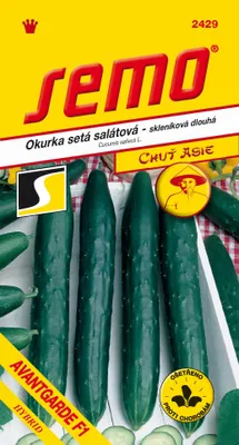 Obrázok produktu pre UHORKY šalátové skleníkové Avantgarde F1