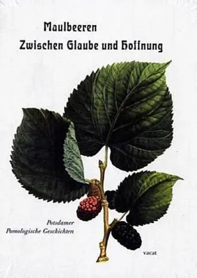 Image de Maulbeeren - Zwischen Glaube und Hoffnung