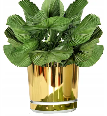 Produktbild von Kerd Dekor 26 Gold-Weiß Übertopf Modern Glamour