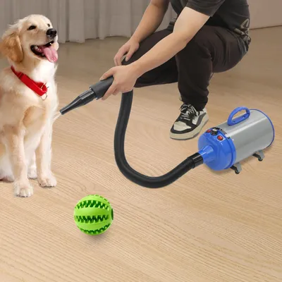 Image de sèche-cheveux pour animaux de 2200 W, pour chiens/chats, vitesse de soufflerie réglable, 4 accessoires, rose