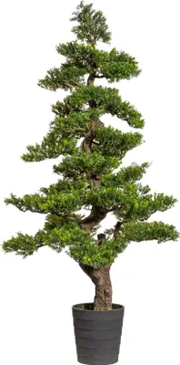 Produktbild von Kunstpflanze Bonsai Teeblatt Höhe: 160 cm grün