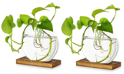 Image de Omgoods - Lot de 2 pots à fleurs suspendus en verre avec supports en bois