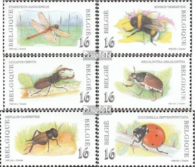 Produktbild von Briefmarken Belgien 1996 Mi 2682-2687 (kompl.Ausg.) postfrisch Insekten