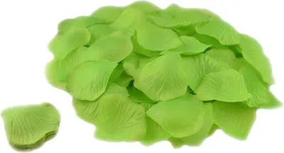 Produktbild von 100 Stück Rosenblüten 5cm, Farbe:hell grün 556
