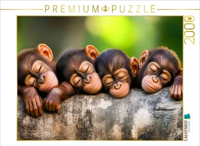Produktbild von CALVENDO Puzzle Affen | 2000 Teile Lege-Größe 90x67cm Foto-Puzzle für glückliche Stunden