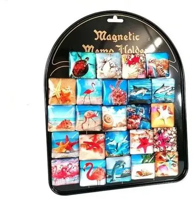 Obrázek produktu pro Mořské magnety (24 ks) – ADAR