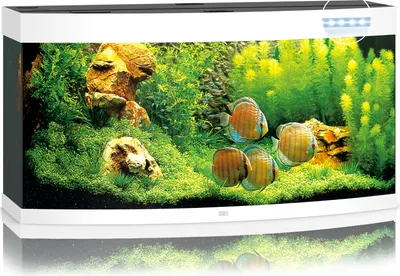 Productafbeelding van Juwel Vision 260 LED | 260L | 121 x 46 x 64CM Wit