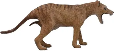 Produktbild von Collecta Beutelwolf Weibchen L Figur Braun 3-6 Years Braun 3-6 Years
