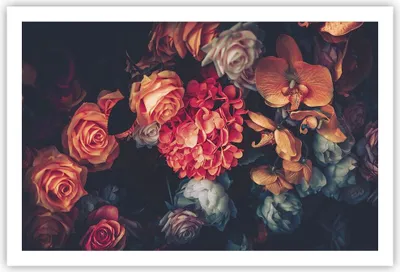 Produktbild von Poster - Poster ohne Rahmen - Blumenstrauß Blumen Rosen - 91,5x61 cm - Wand Bild - Wanddeko - Wandbilder - Kunstposter - Wandposter - Bilder - Kunstdruck - Wanddekoration - Wandbild - P2XAA91x61-5002