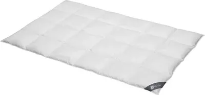 Produktbild von Daunendecke 135x200 cm 100 % Gänsedaunen Warme  Bettdecke Steppdecke Daunen SPESSARTTRAUM PLATIN