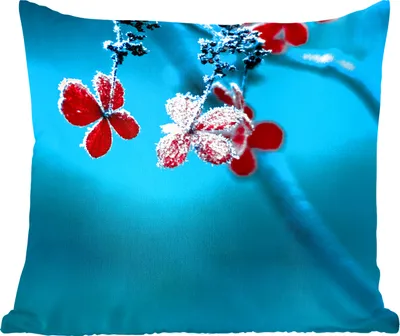 Produktbild von MuchoWow® Zierkissen Sofakissen Wohnzimmer Dekokissen 45x45 cm Rot - Blume - Schneeregen - Schlafpolster - Polster für das Sofa