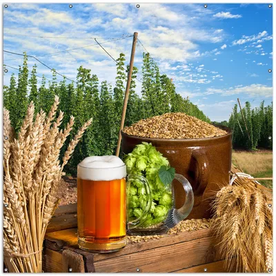 Produktbild von Wallario XXL Outdoor-Poster für Garten oder Balkon, Motiv Frisch gezapftes Bier, Hopfen und Malz, in ca. 200 x 200 cm